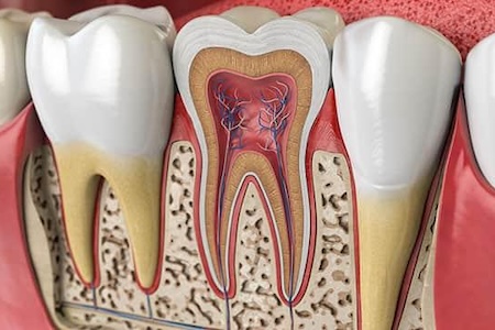 A dental view of teeth scanned by our endodontist near you in Aliso Viejo.